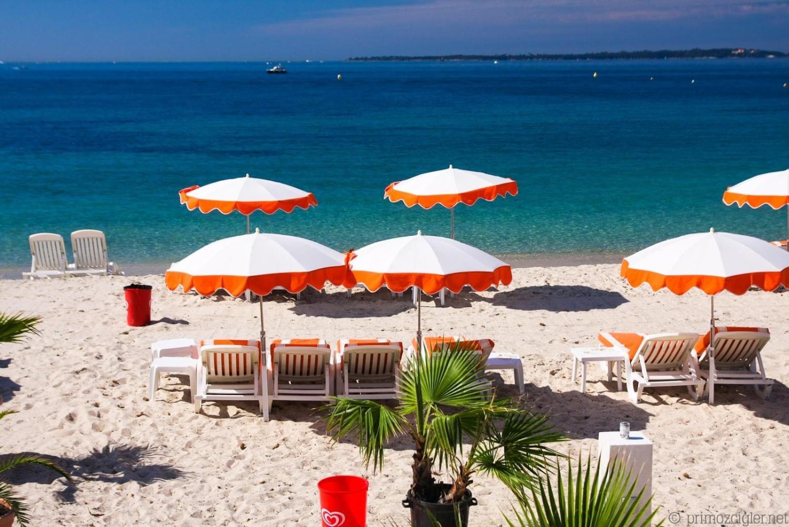 Flore Juan-les-Pins Exteriér fotografie